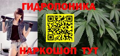 каннабис Сланцы