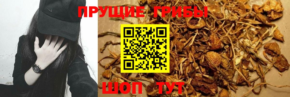 Псилоцибиновые грибы Magic Shrooms  Галлюциногенные грибы GOLDEN TEACHER  Белорецк  Вход с VPN 
